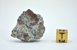 13.58g Lodranite Rare Primitive Achondrite Meteorite fragment  I NWA 11901
