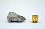13.58g Lodranite Rare Primitive Achondrite Meteorite fragment  I NWA 11901