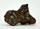 7.26g Mesosiderite Meteorite I NWA 8291