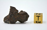 7.26g Mesosiderite Meteorite I NWA 8291