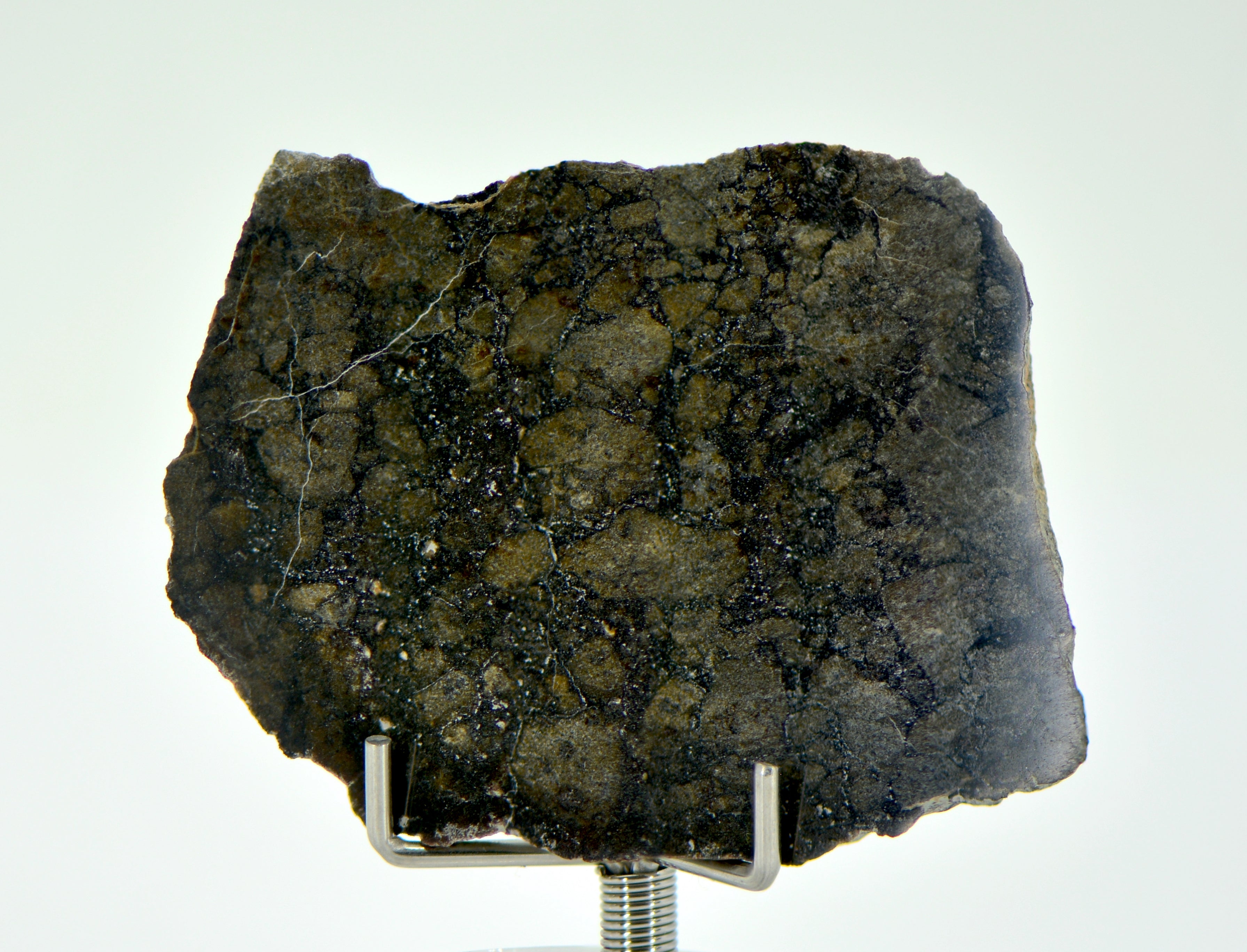 14.5g Eucrite Monomict Slice | HED NWA 8555 – Top Meteorite 14.5g Eucrite Monomict Slice | HED NWA 8555 – Top Meteorite