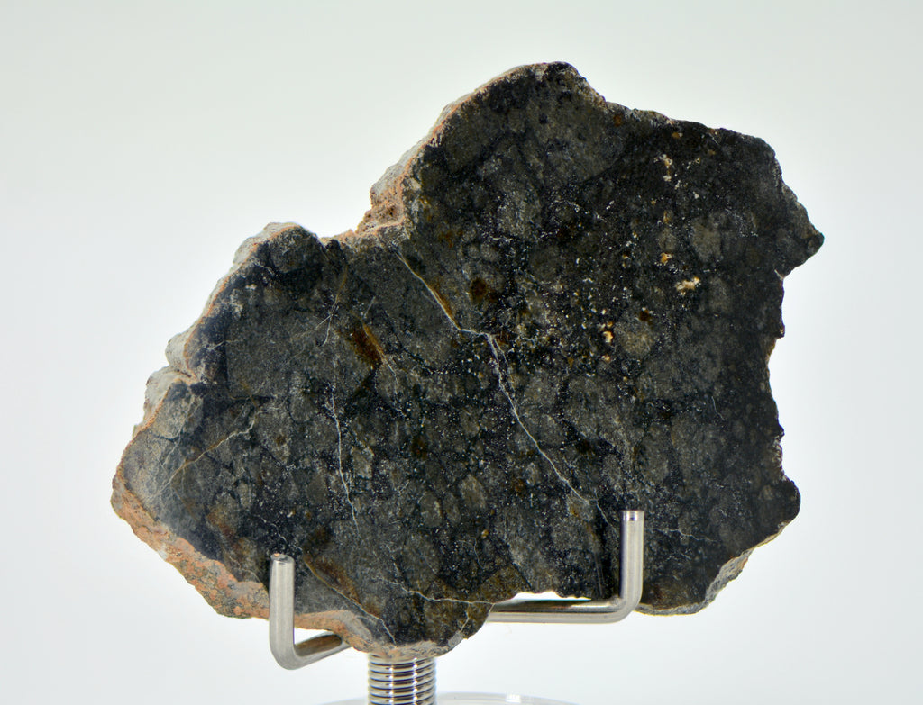 8.34g Eucrite Monomict Slice | HED NWA 8555 – Top Meteorite