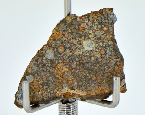 2.06g LL3.00 Unequilibrated Primitive Chondrite Slice