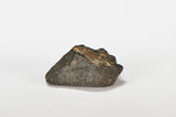 ORDINARY CHONDRITE Meteorite with FRESH CRUST 4.01g