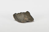 ORDINARY CHONDRITE Meteorite with FRESH CRUST 4.01g