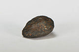 ORDINARY CHONDRITE Meteorite with FRESH CRUST 4.54g