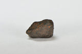 ORDINARY CHONDRITE Meteorite with FRESH CRUST 4.27g
