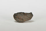 ORDINARY CHONDRITE Meteorite with FRESH CRUST 2.70g