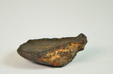 Oriented Unclassified NWA Ordinary Chondrite Meteorite 6.32g