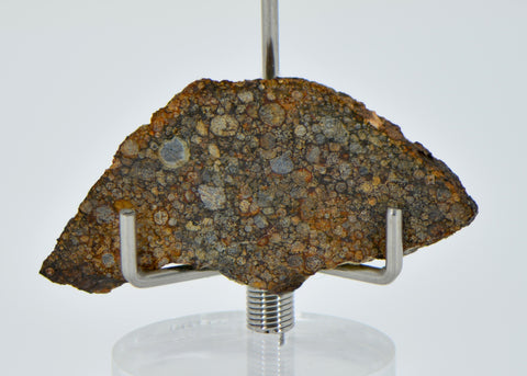 3.44g LL3.00 Unequilibrated Primitive Chondrite Slice