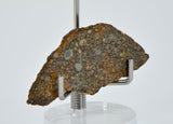 3.44g LL3.00 Unequilibrated Primitive Chondrite Slice
