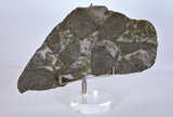 Stunning 49.4g PUNGGUR Meteorite Slice Witnessed Fall Indonesia