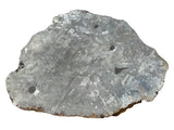 5430.5g CAMPO DEL CIELO Meteorite Stunning Large Full Slice - IAB Iron