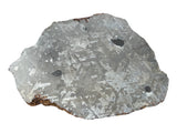 5430.5g CAMPO DEL CIELO Meteorite Stunning Large Full Slice - IAB Iron