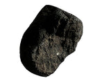 0.923g C2-ung TARDA Carbonaceous Chondrite Meteorite