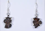 SERICHO Pallasite Meteorite Beautiful Silver Earrings - Meteorite Jewelry