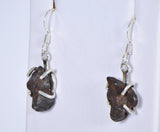SERICHO Pallasite Meteorite Beautiful Silver Earrings - Meteorite Jewelry