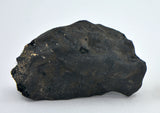 6.9g C2-ung TARDA Carbonaceous Chondrite Meteorite