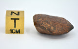 12.12 gram NWA 859 TAZA meteorite - Ungrouped Iron Meteorite