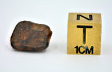2.94 gram NWA 859 TAZA meteorite - Ungrouped Iron Meteorite