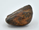 2.94 gram NWA 859 TAZA meteorite - Ungrouped Iron Meteorite