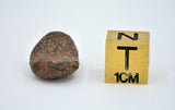 5.77 gram NWA 859 TAZA meteorite - Ungrouped Iron Meteorite