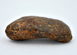 5.77 gram NWA 859 TAZA meteorite - Ungrouped Iron Meteorite