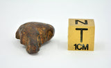 7.6 gram NWA 859 TAZA meteorite - Ungrouped Iron Meteorite