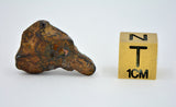 7.6 gram NWA 859 TAZA meteorite - Ungrouped Iron Meteorite
