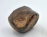 9.29 gram NWA 859 TAZA meteorite - Ungrouped Iron Meteorite