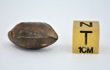 9.29 gram NWA 859 TAZA meteorite - Ungrouped Iron Meteorite