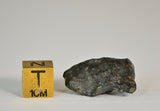 Rumuruti 5.8g - R3/4 Breccia | Ultra Rare Chondrite A+++ Collector Specimen