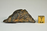 Rumuruti 19.2g - R3/4 Breccia | Ultra Rare Chondrite A+++ Collector Specimen