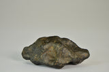 Rumuruti 43.4g - R3/4 Breccia | Ultra Rare Chondrite A+++ Collector Specimen