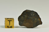 R Chondrite Meteorite End Cut 6.5g - R3/4 Breccia I Ultra Rare Chondrite