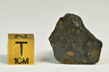 R Chondrite Meteorite End Cut 4g - R3/4 Breccia I Ultra Rare Chondrite