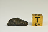 R Chondrite Meteorite End Cut 4g - R3/4 Breccia I Ultra Rare Chondrite