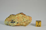 44.7g Unclassified Diogenite | Beautiful HED  Meteorite fragment