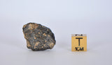 Lunar Meteorite 7.74g I Lunar Breccia I TOUAT 005