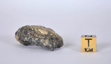 Lunar Meteorite 17.90g I Lunar Breccia I TOUAT 005