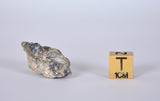 Lunar Meteorite 8.58g I Lunar Breccia I TOUAT 005