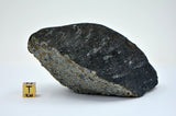 587.4g New Fresh Crusted Chondrite - New Witnessed Fall from Mauritania