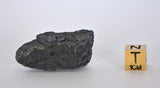 15.5g   I Carbonaceous Chondrite with very Fresh Fusion Crust