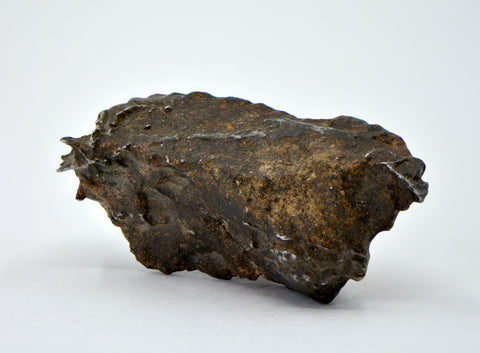 34.05g Winonaite Primitive Achondrite Meteorite  I NWA 13917