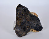 47.5g ZHAMANSHINITE Impact rock from the Zhamanshin meteor crater